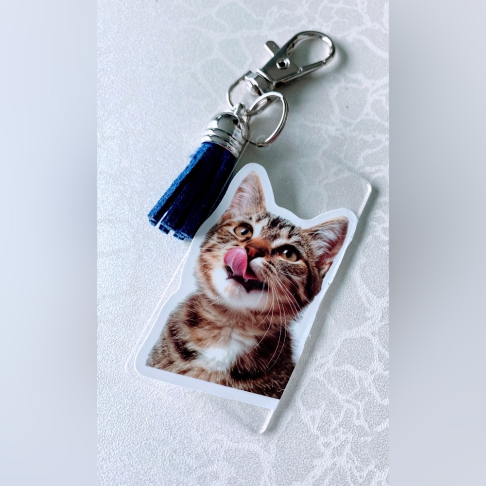 Cat Keychain with Blue Tassel